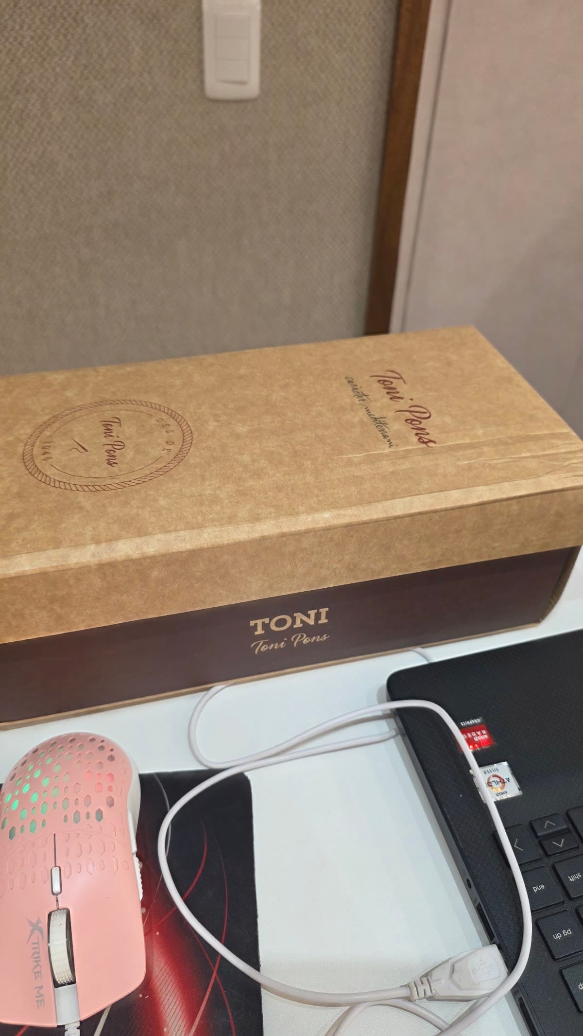 Toni Pons Punta Cana