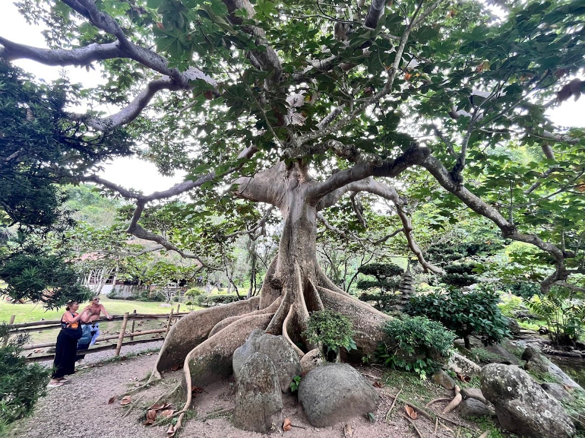 Jardín Botánico Nacional (1)