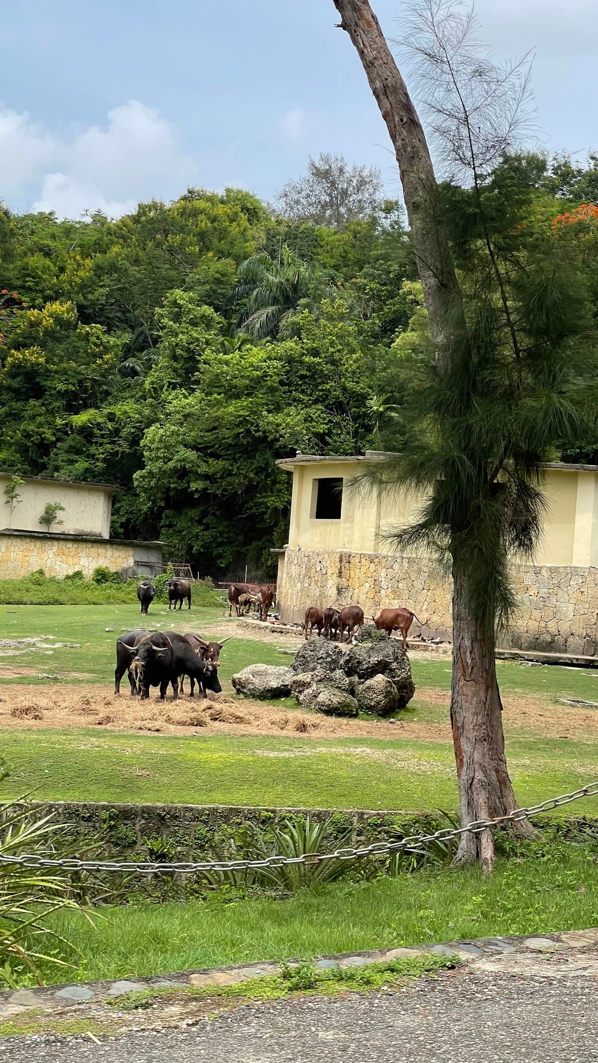 Parque Zoológico Nacional