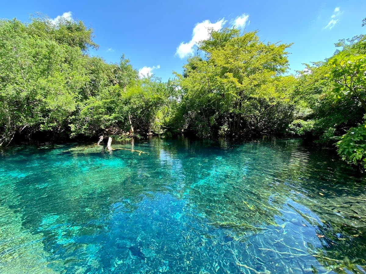 Reserva Ecológica Ojos Indígenas