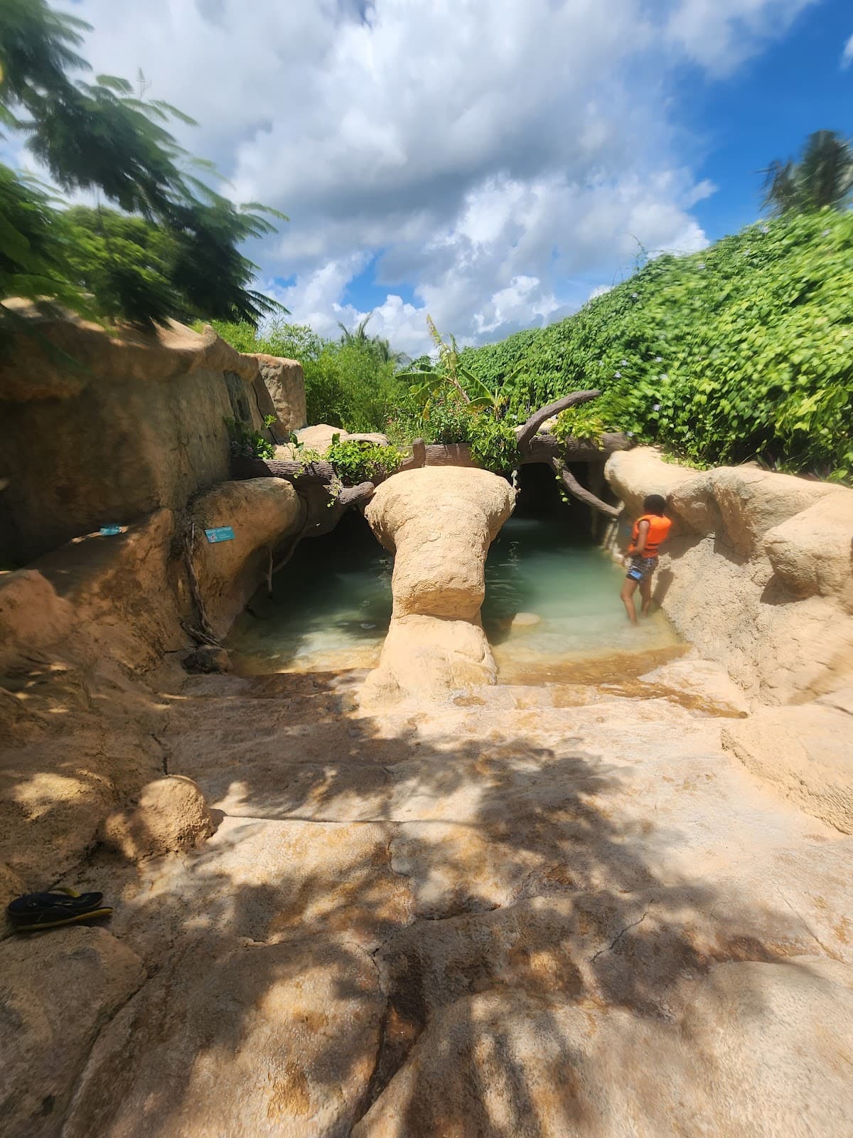 Evolution Adventure Park