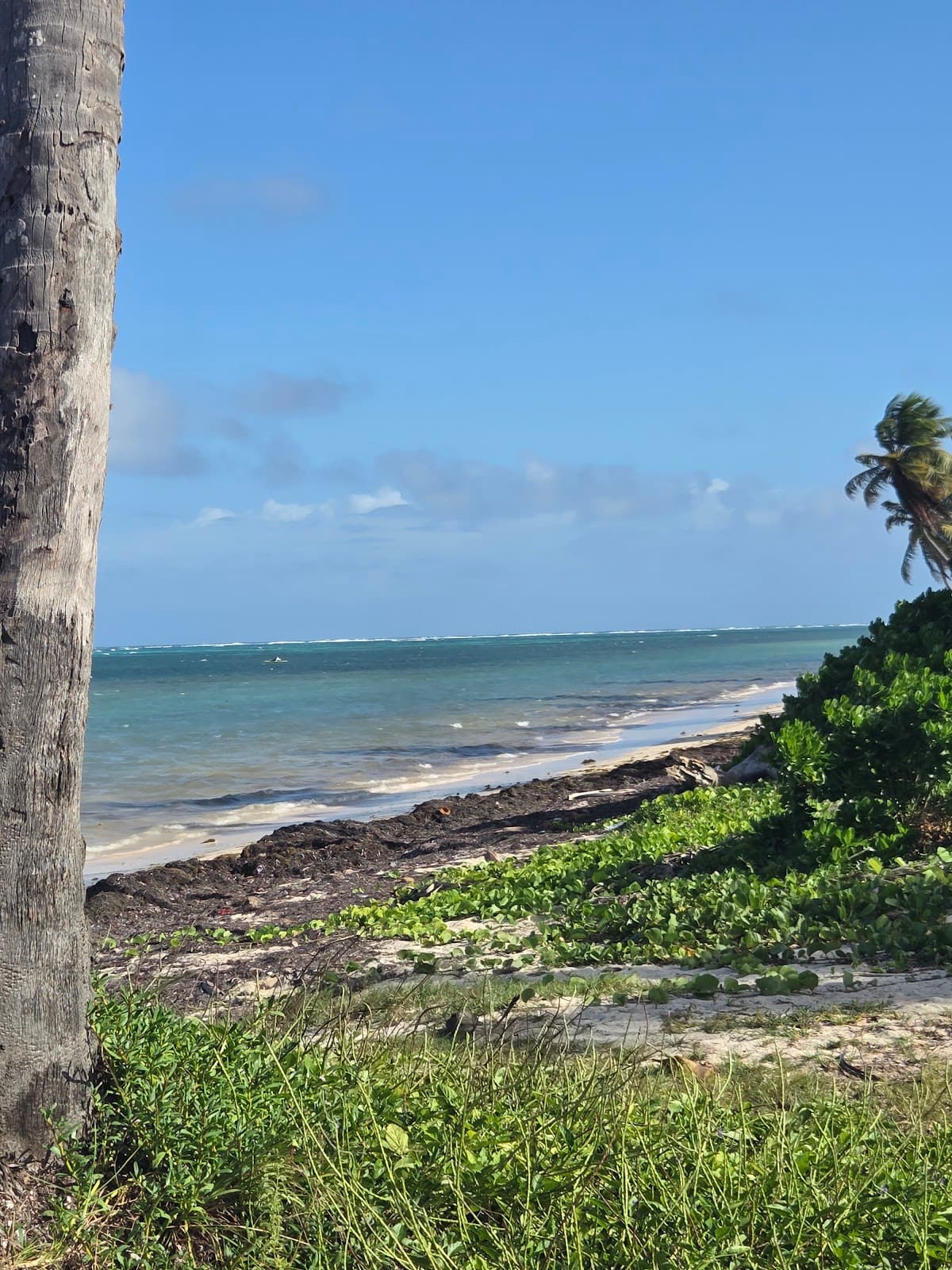 Playa Pública Cabeza de Toro