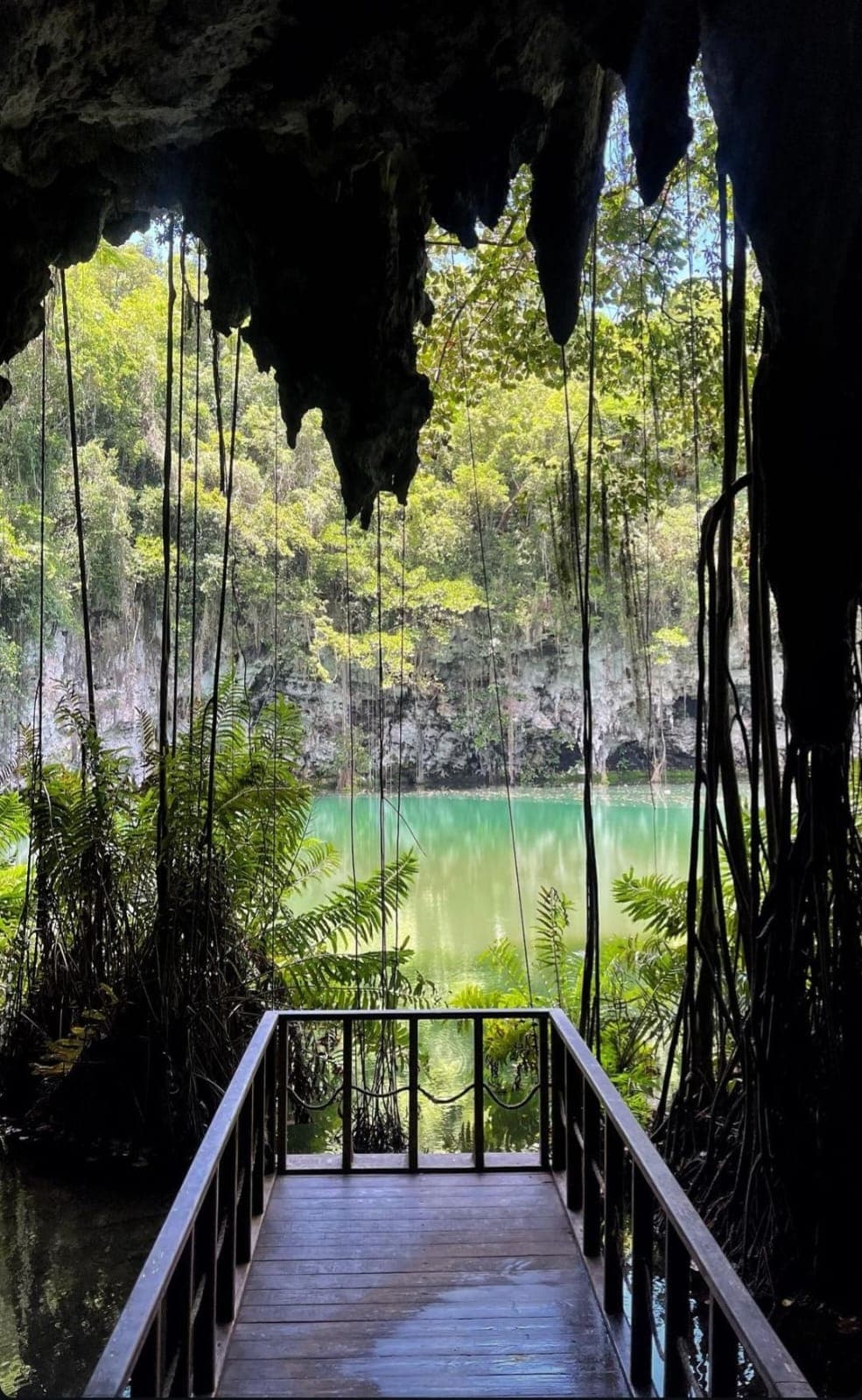 Ms Dreamers - Excursiones Punta Cana Tours