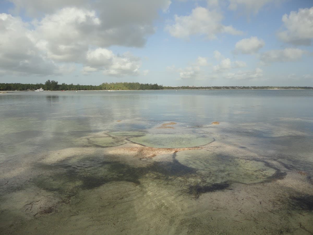 Seaquarium Punta Cana