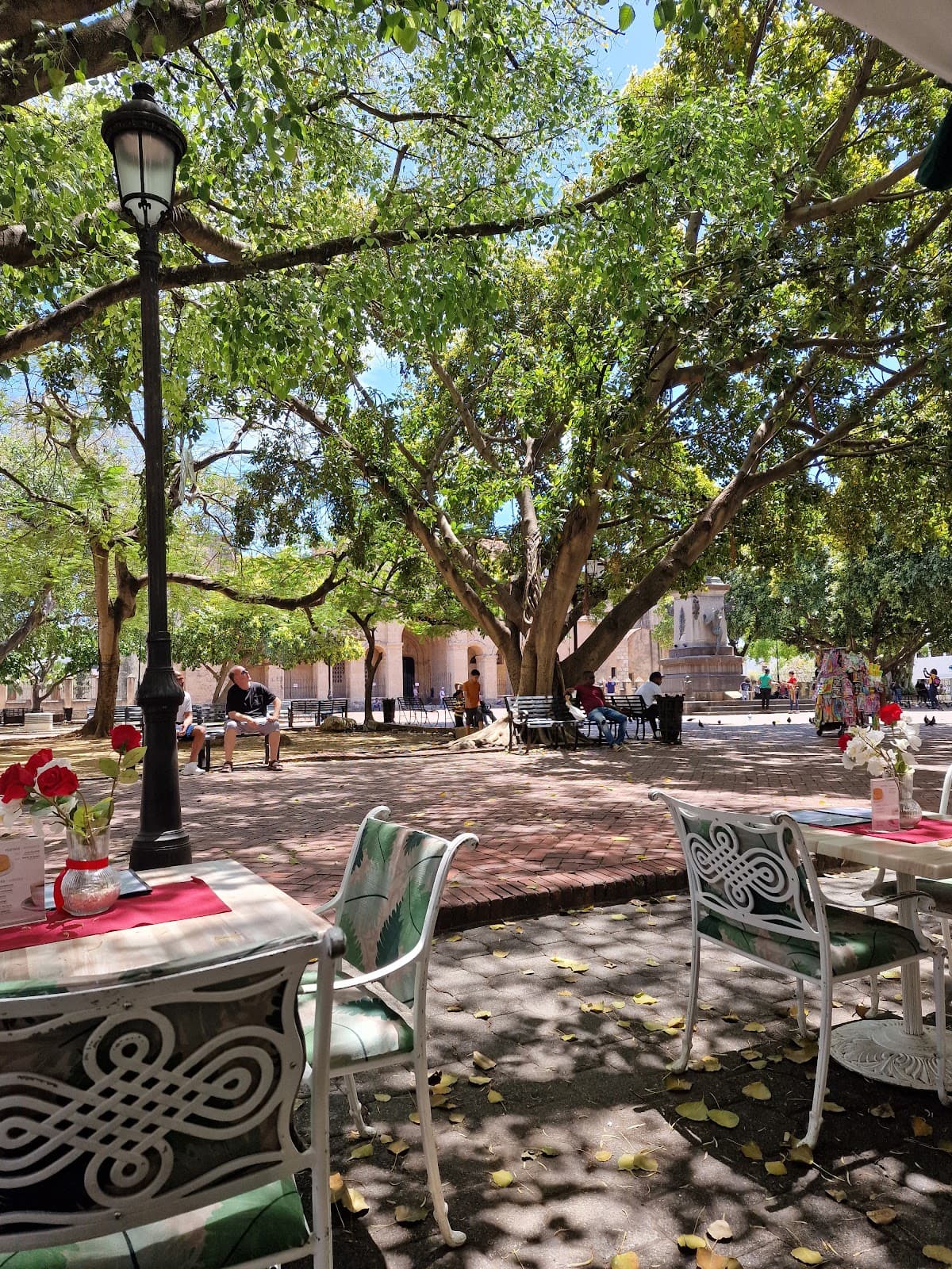 Green Bar & Lunch