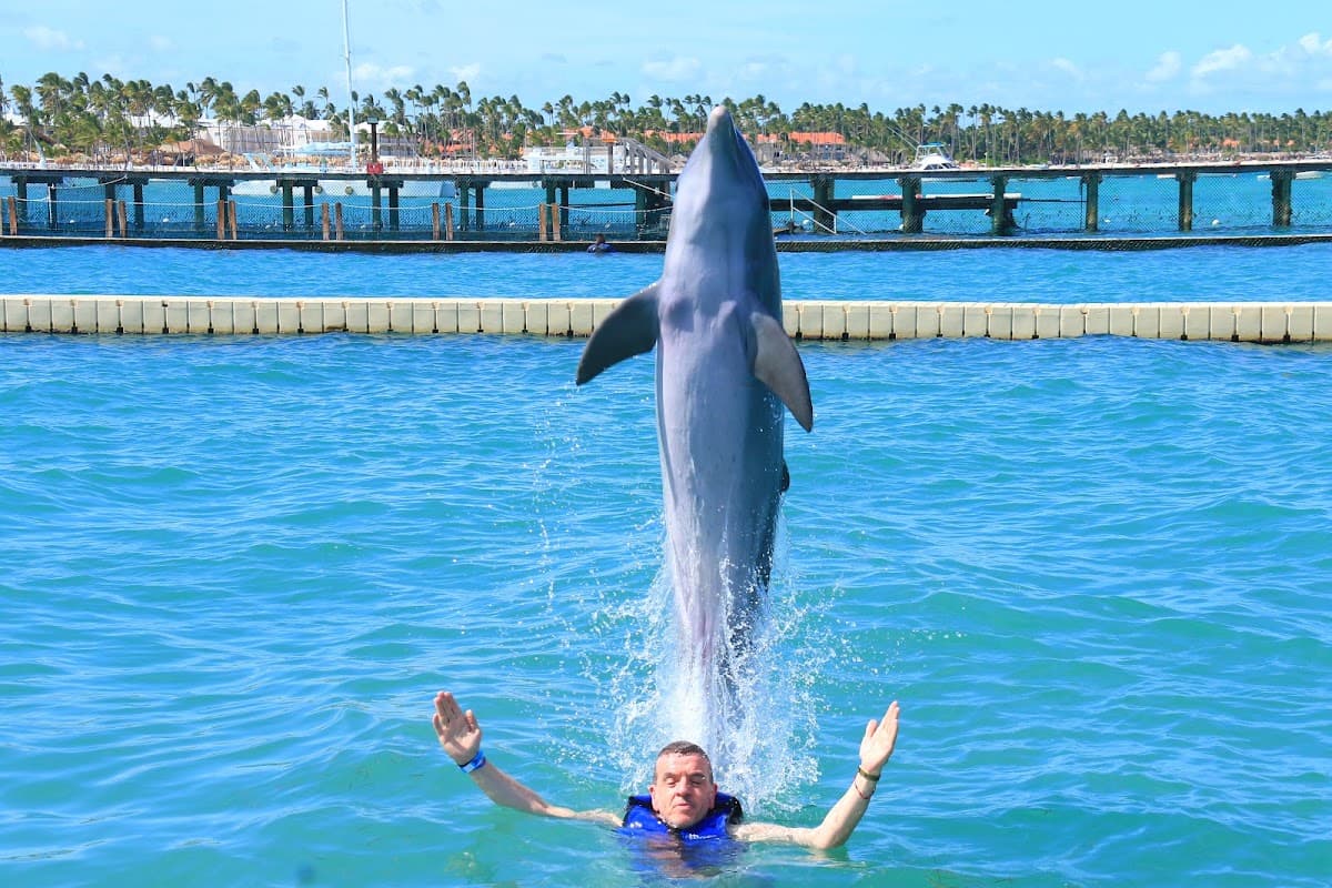 Dolphin Explorer