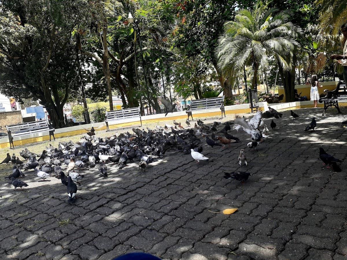 Parque Los Chachases