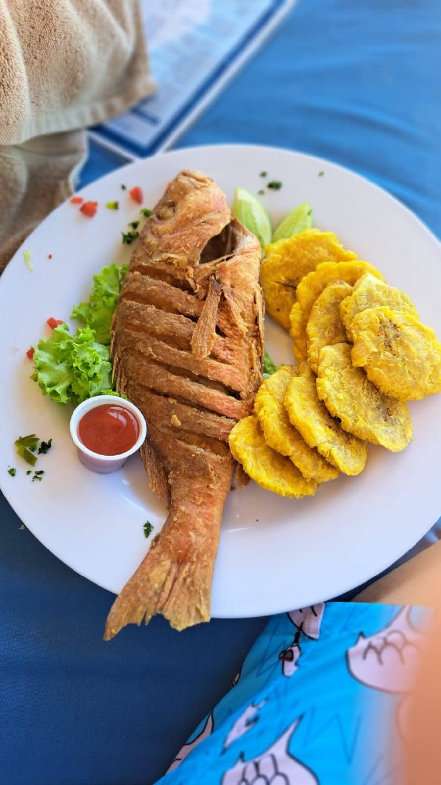 Aquarium Beach Club & Restaurant