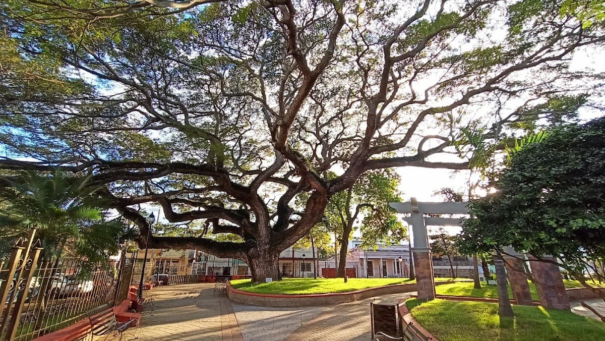Parque Colón