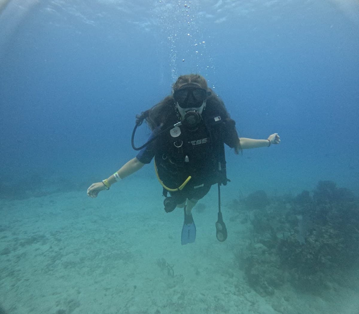 Ms Dreamers - Excursiones Punta Cana Tours