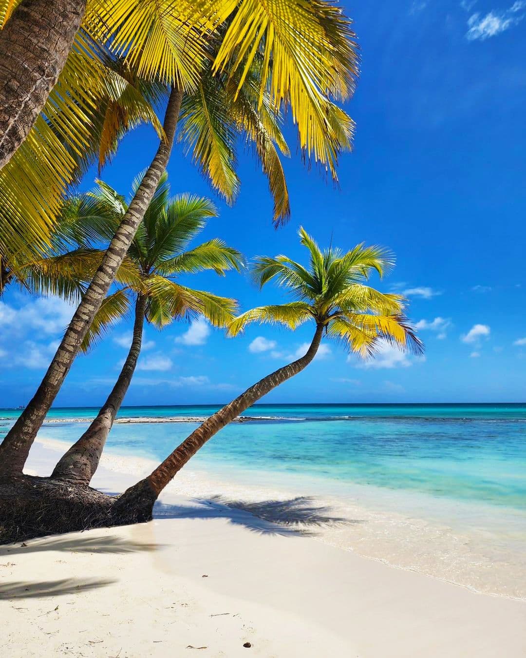 Sunset Caribbean