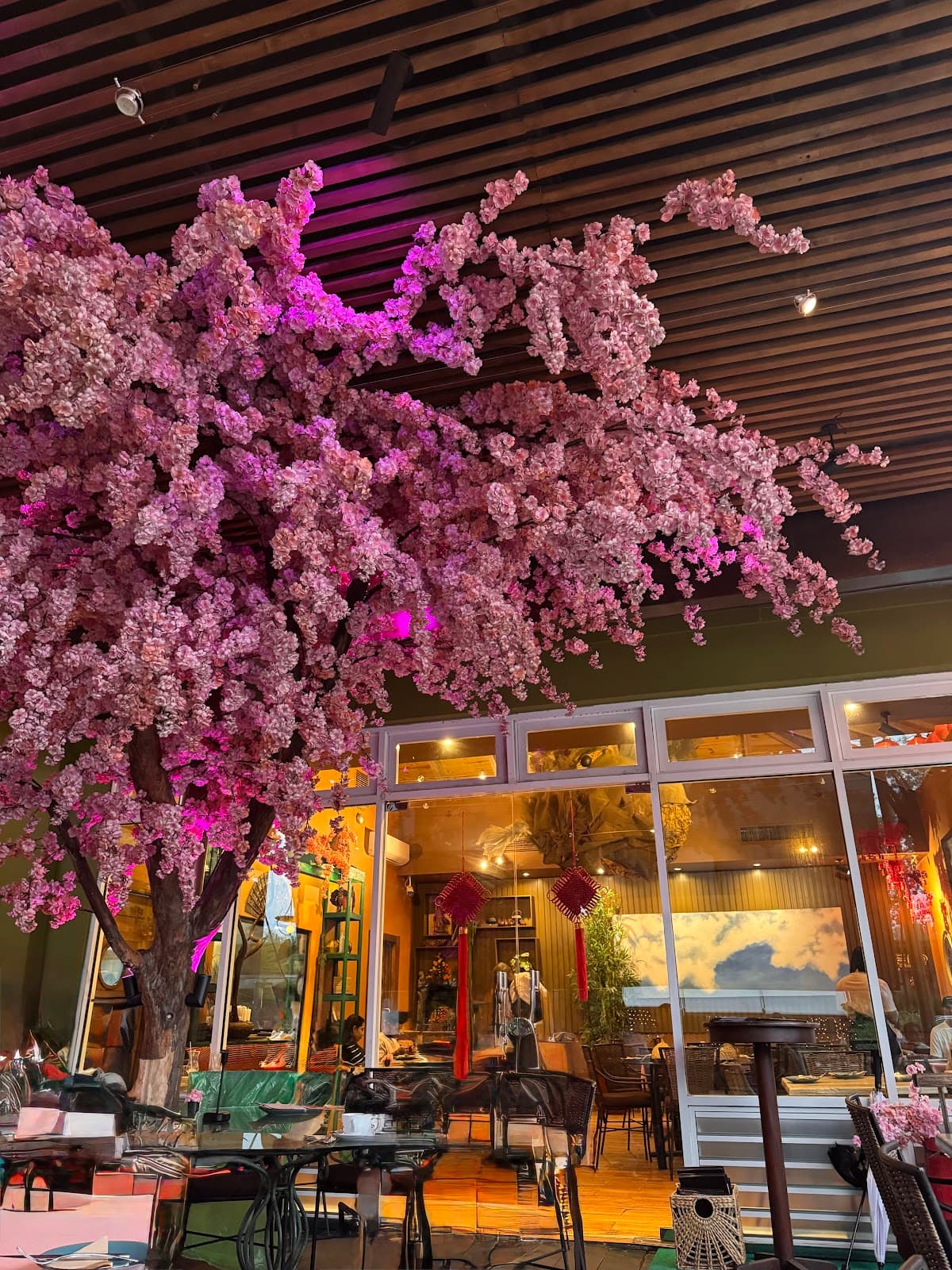 Chinois Restaurante - Punta Cana