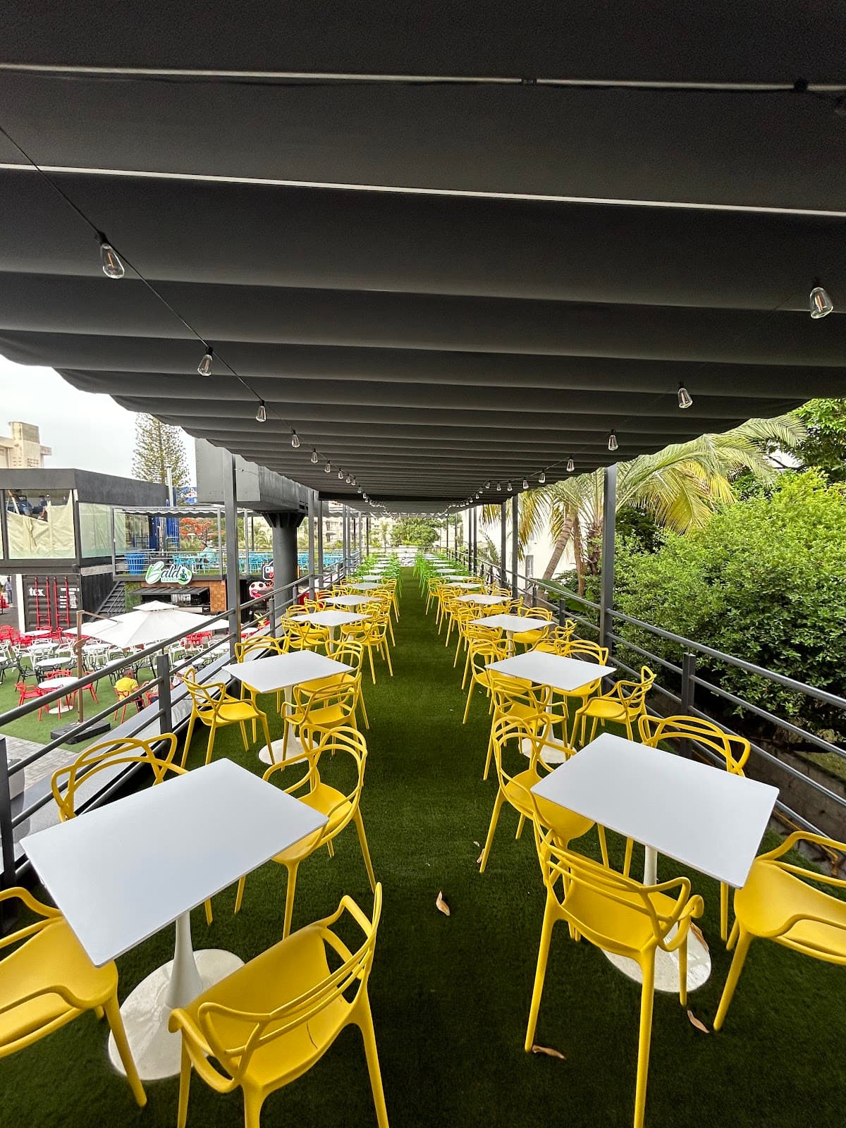 Real Food Park