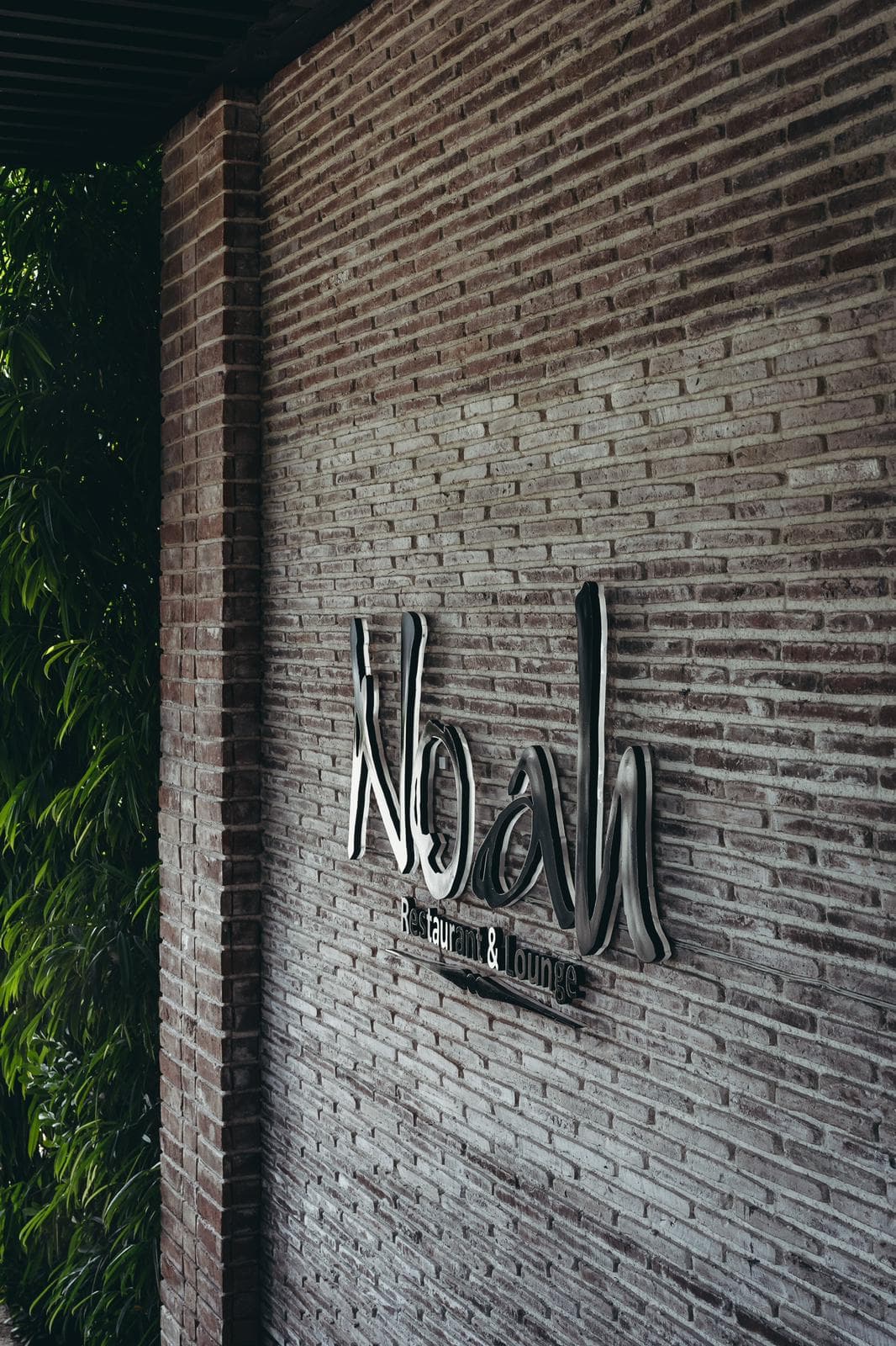 Noah