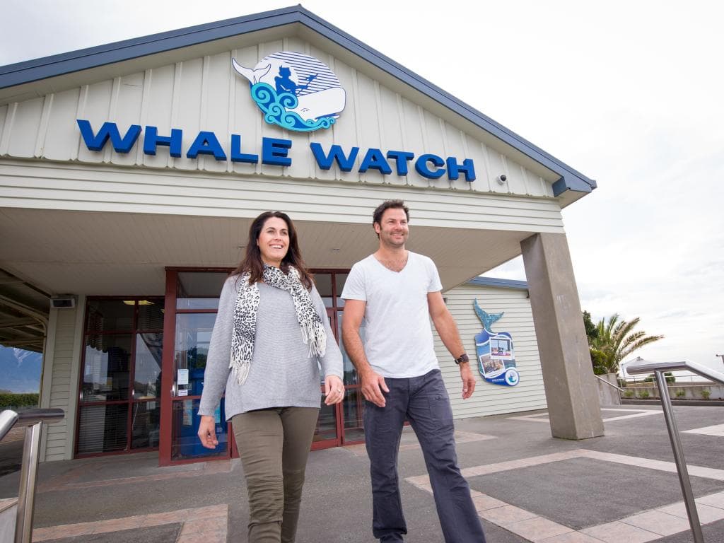 Juan Dolio Whale Watch