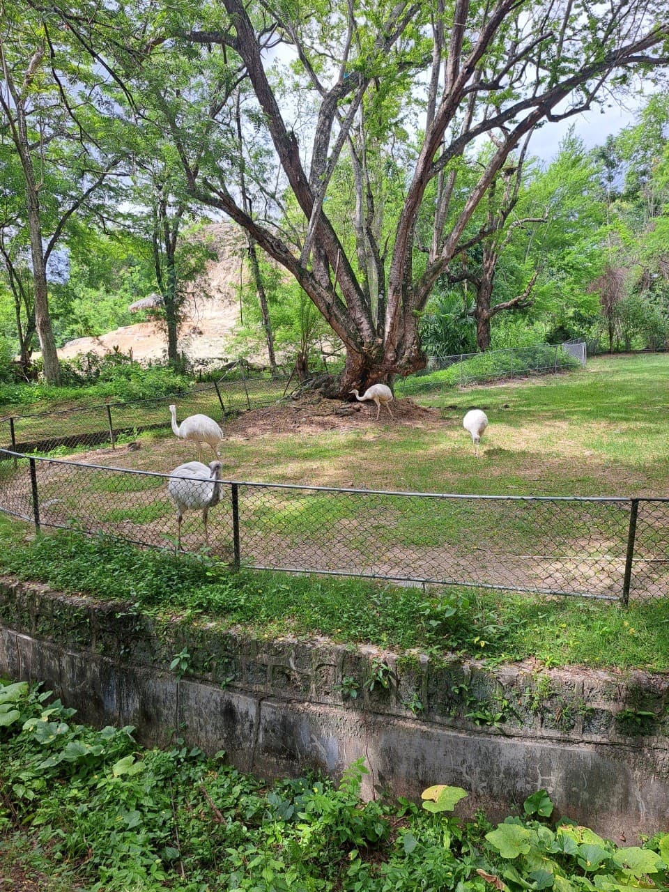 Parque Zoológico Nacional