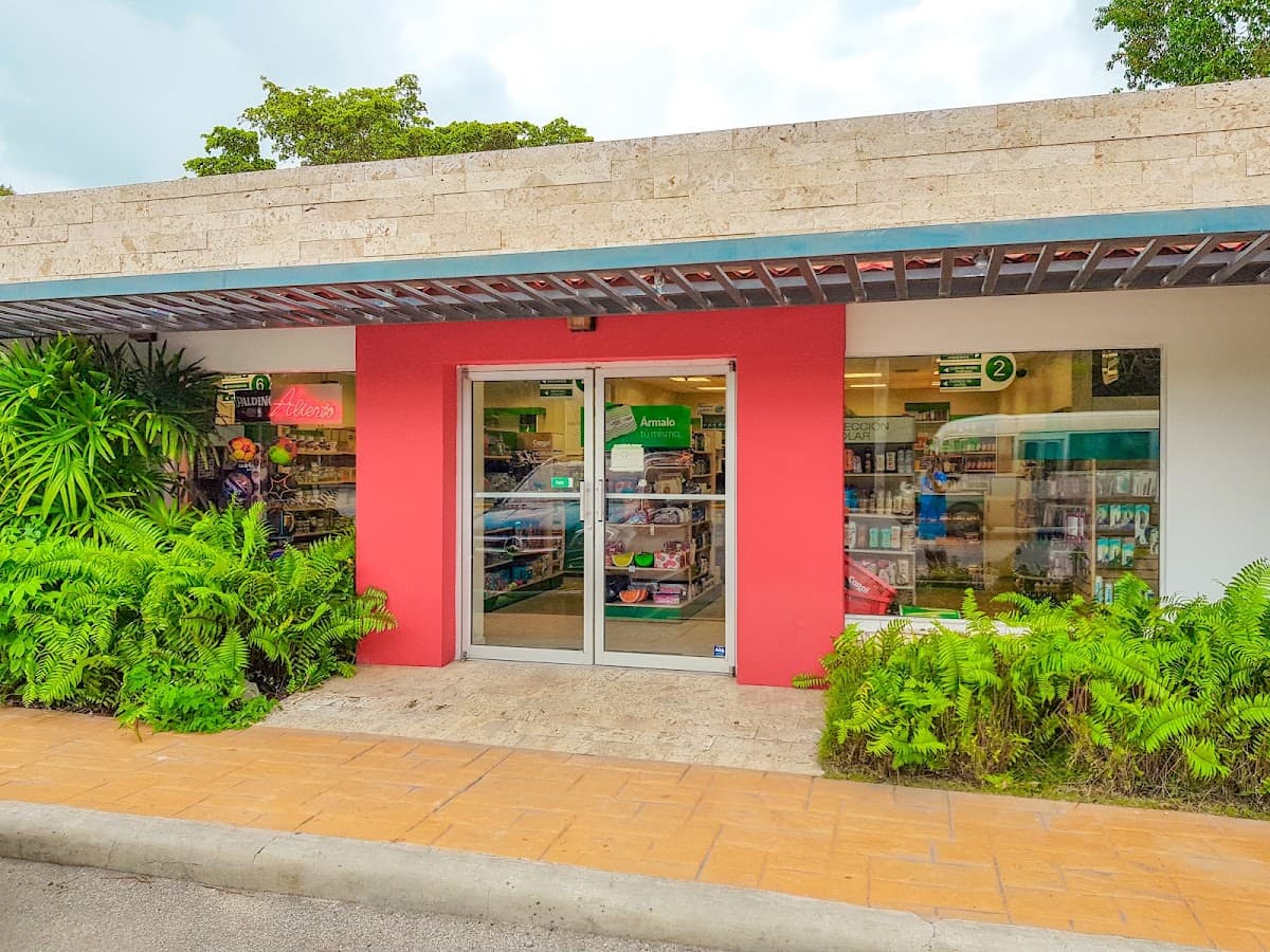 Farmacia Carol
