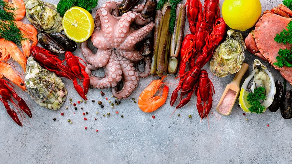 D' Mello Mariscada