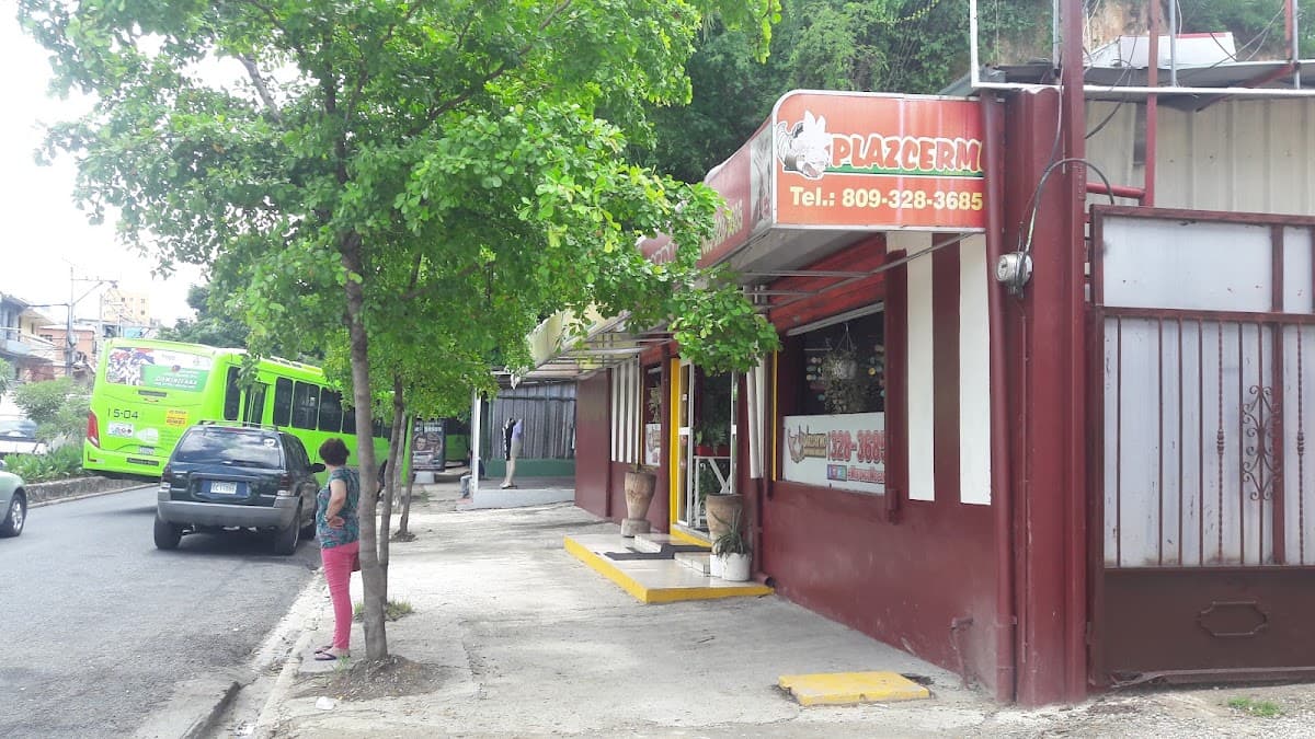Plazcermo Mofongo