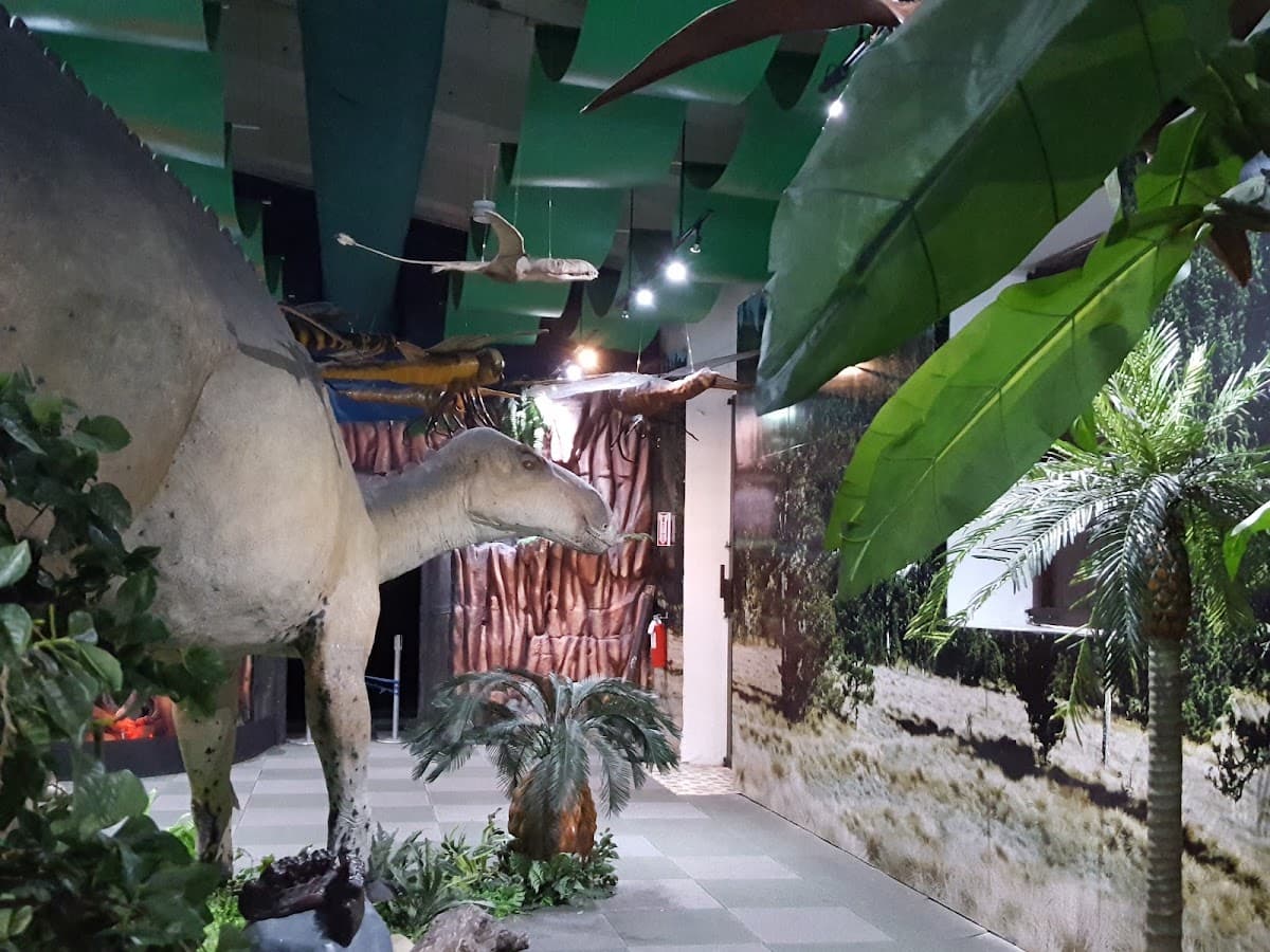 Museo Infantil Trampolín