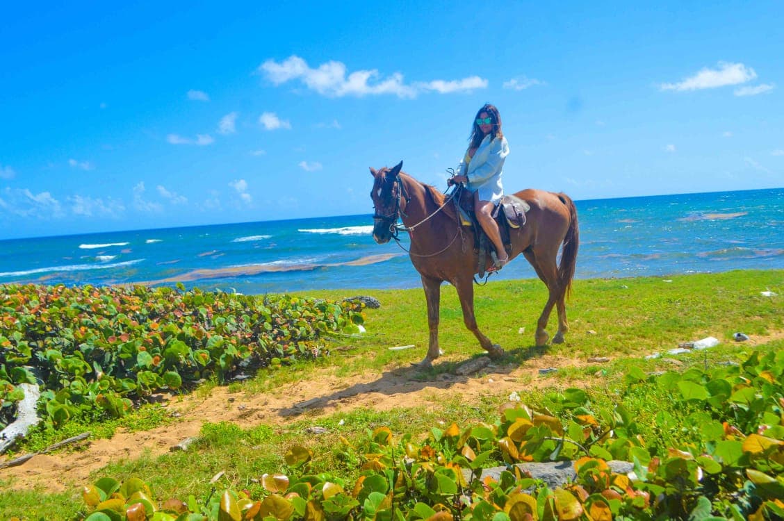 Ms Dreamers - Excursiones Punta Cana Tours