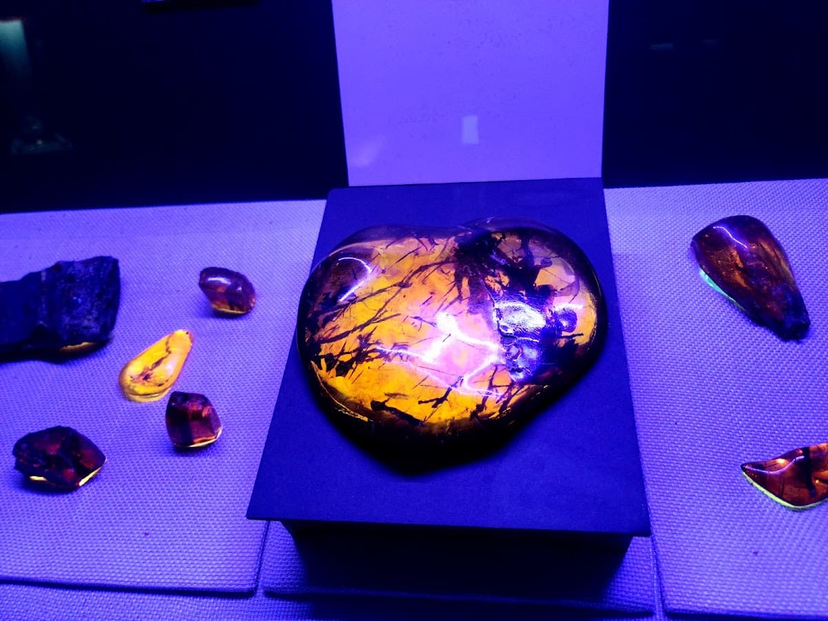 Museo de Ámbar (Mundo de Ambar)