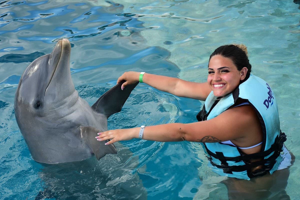 Dolphin Island Park