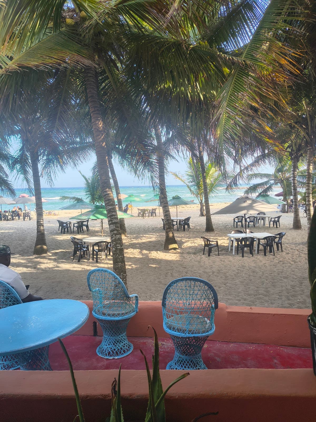 Playa Juan Dolio Oasis 🏖️