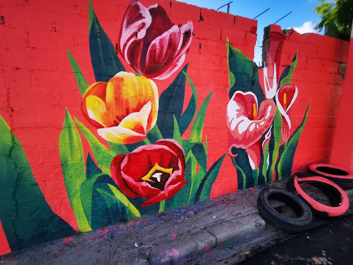 Paseo de Los Colores Las Toronjas
