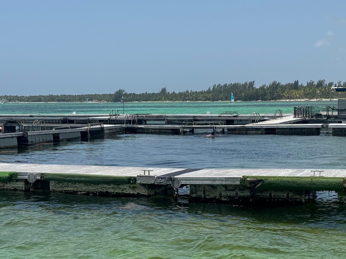 Dolphin Island Park