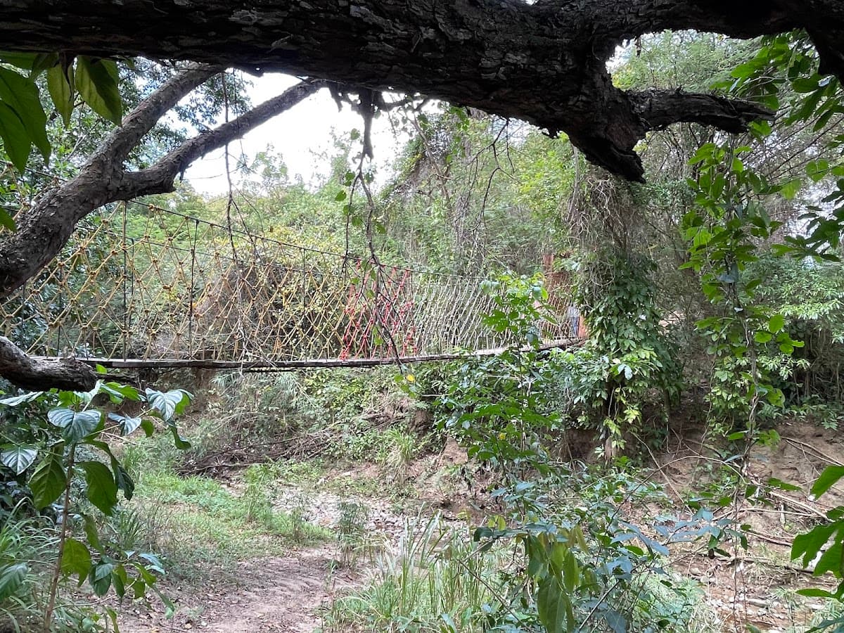 Puente colgante