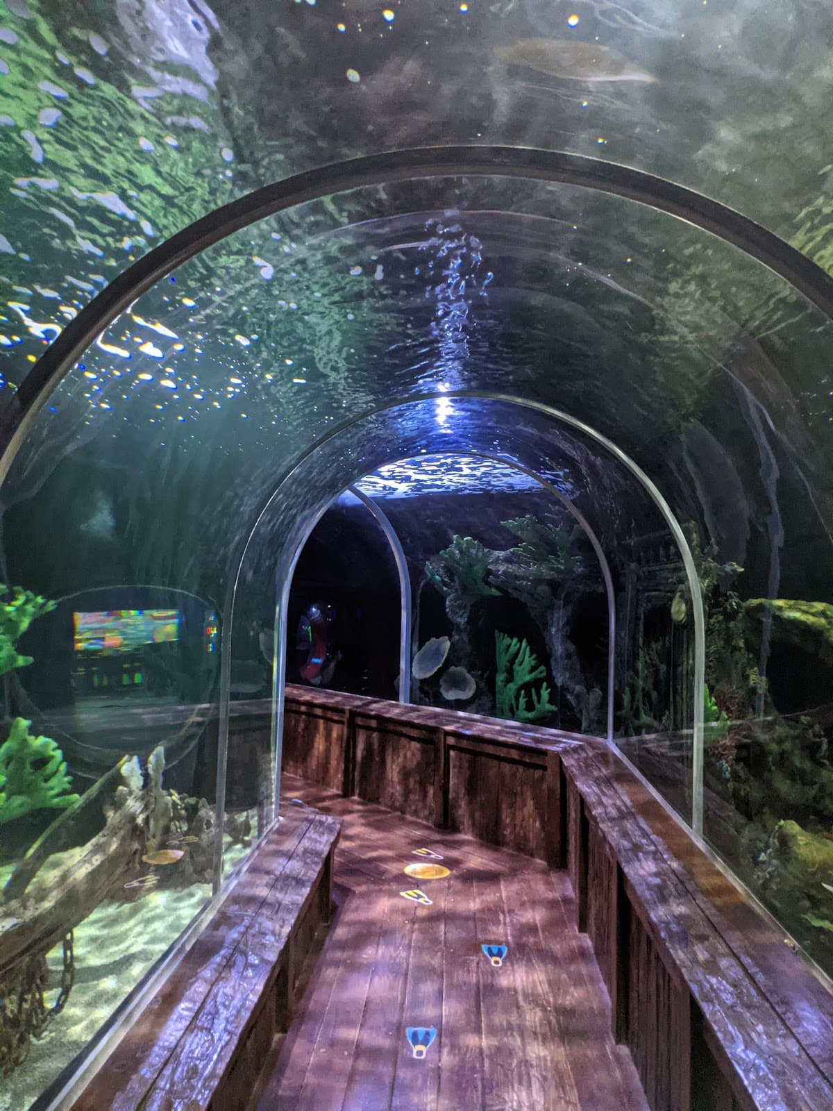 Aquamundo Sambil