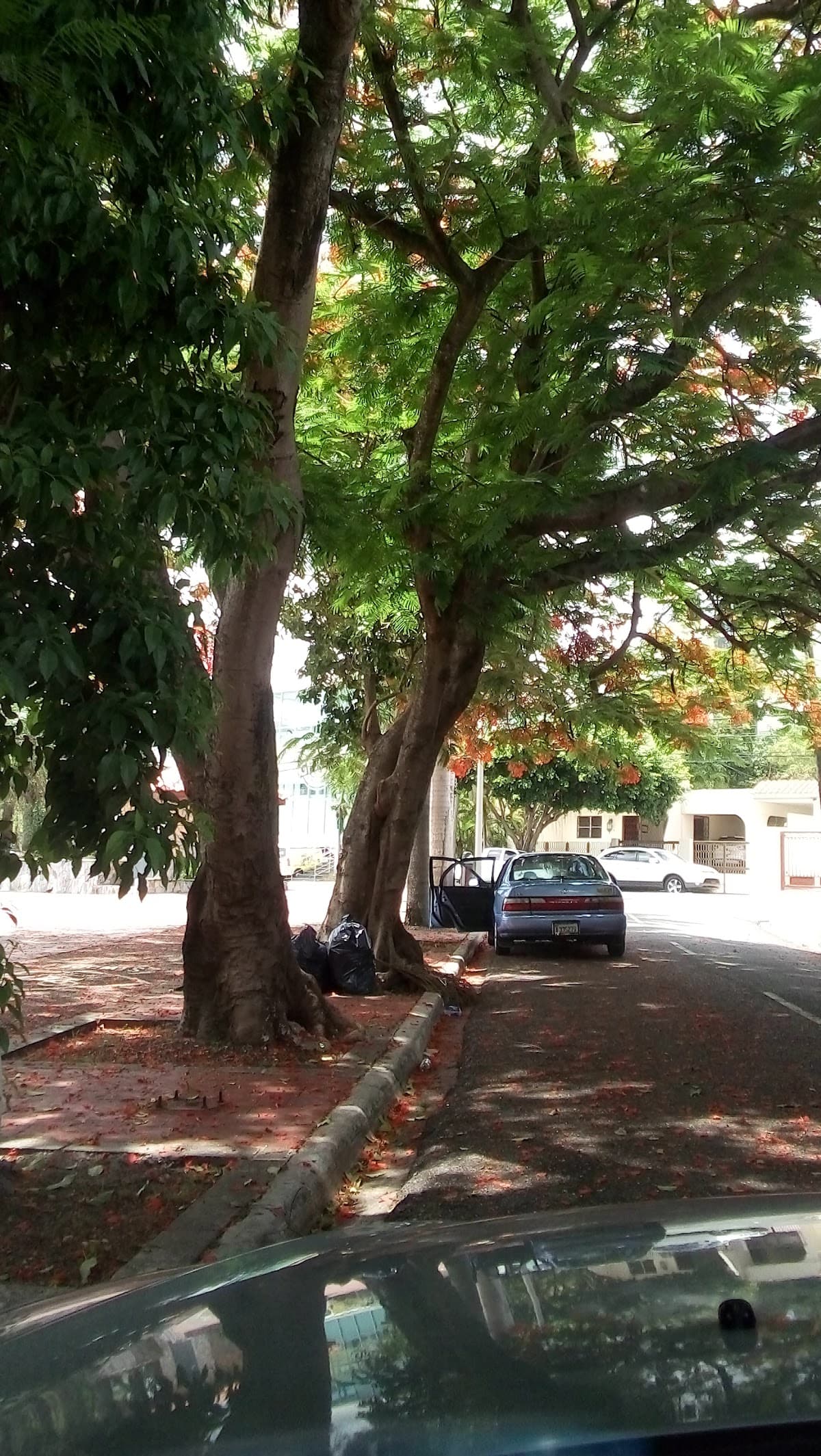 Parque José Núñez de Cáceres