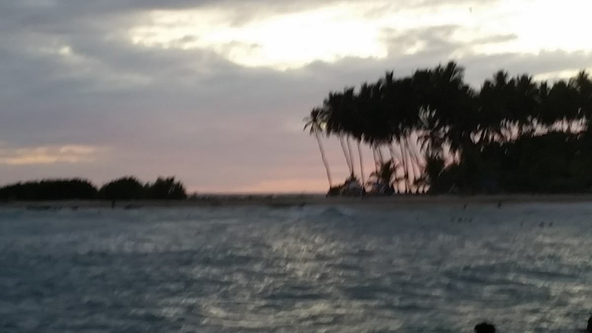 Restaurante "Jardin del Caribe"
