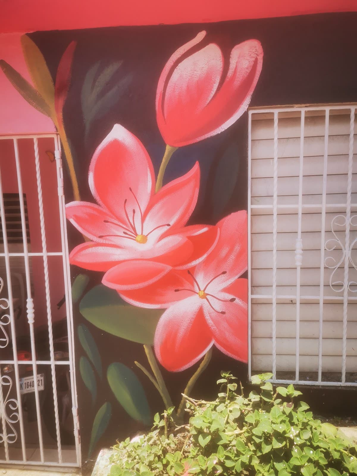Paseo de Los Colores Las Toronjas