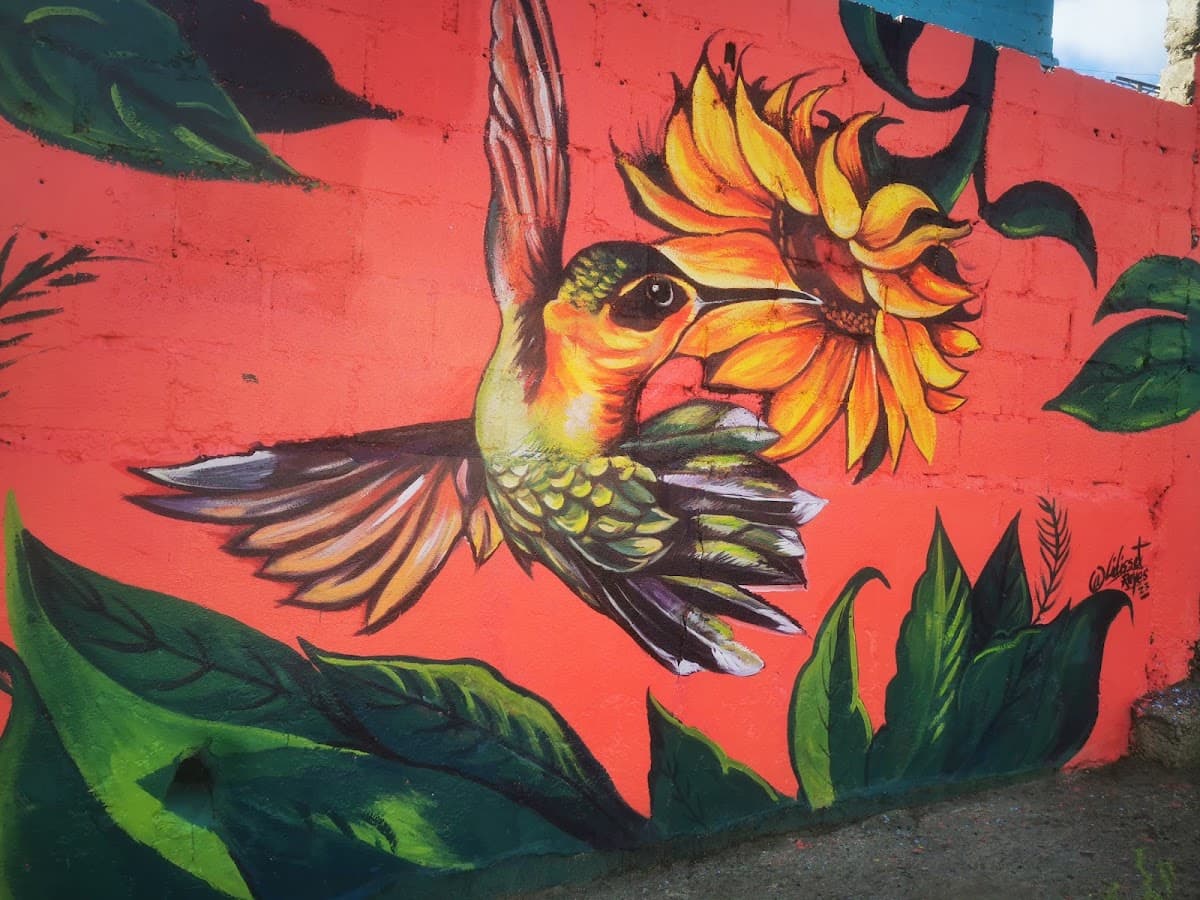 Paseo de Los Colores Las Toronjas