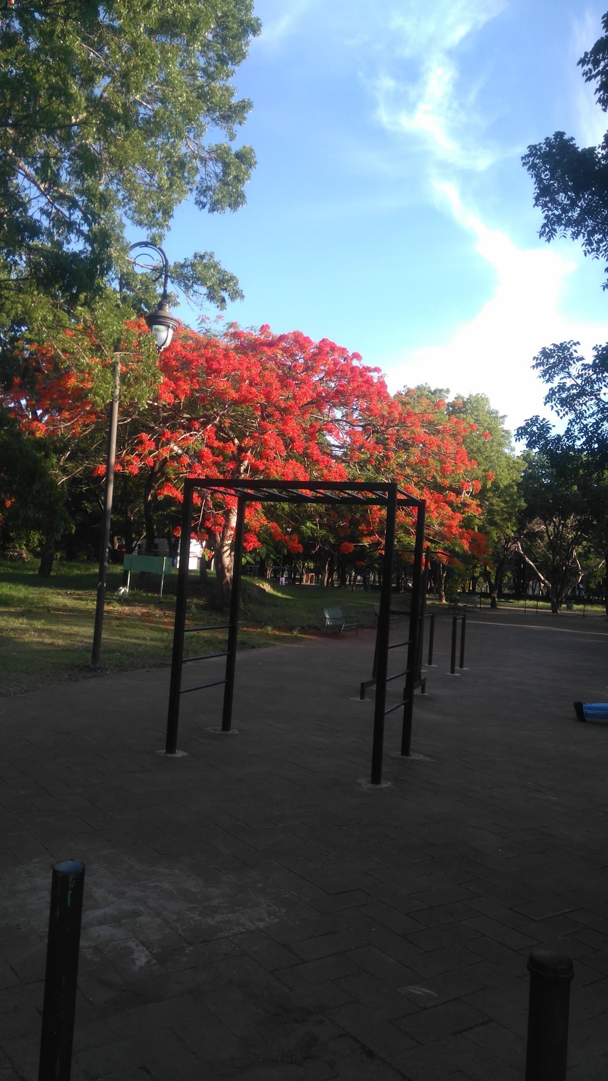 Parque Mirador del Este