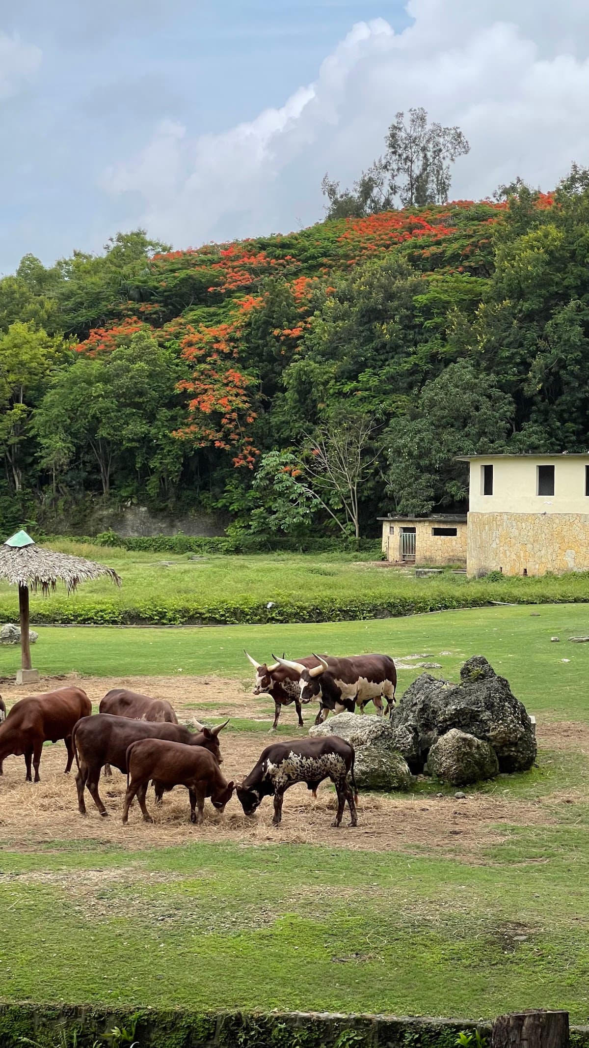 Parque Zoológico Nacional