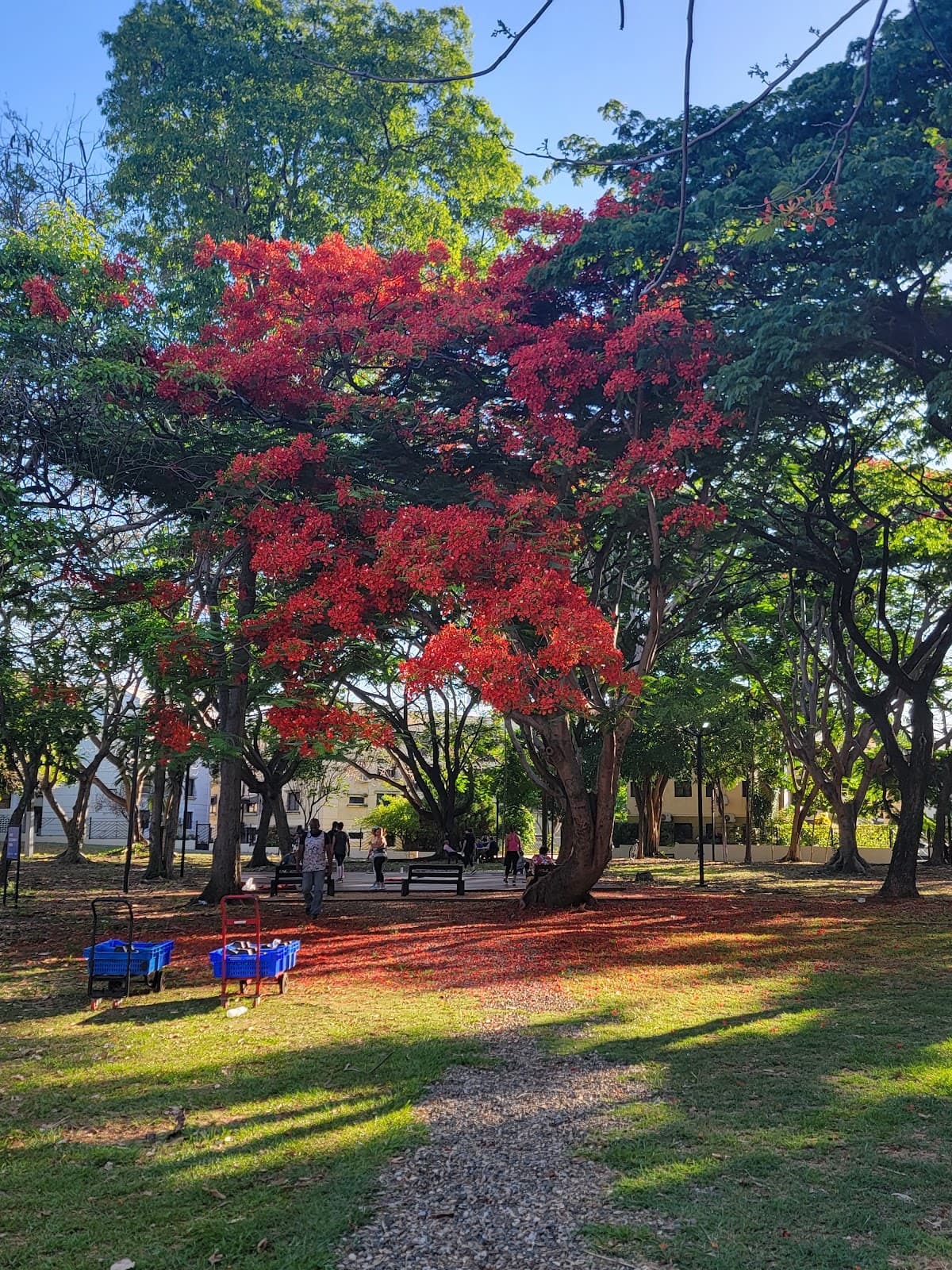 Parque de Las Praderas