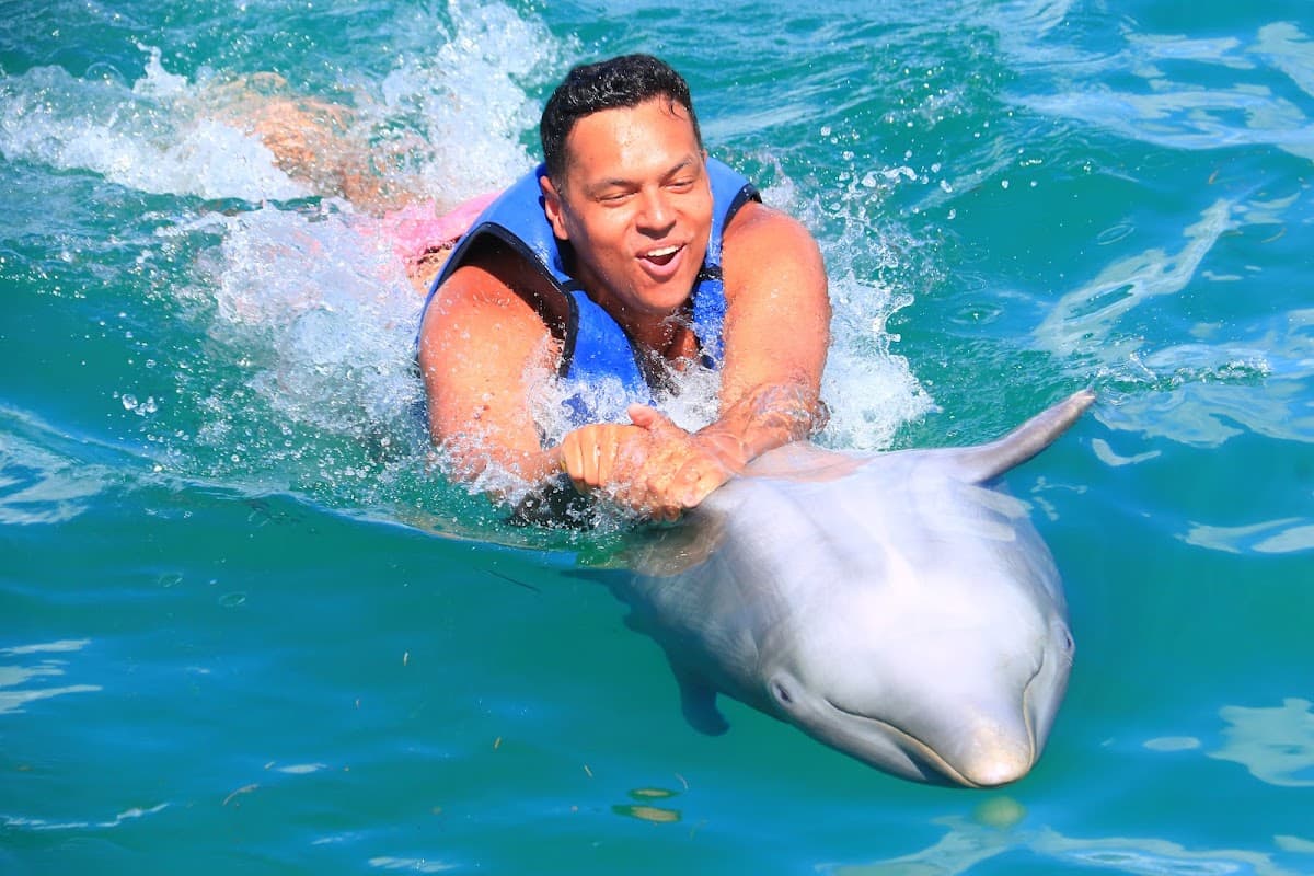 Dolphin Explorer