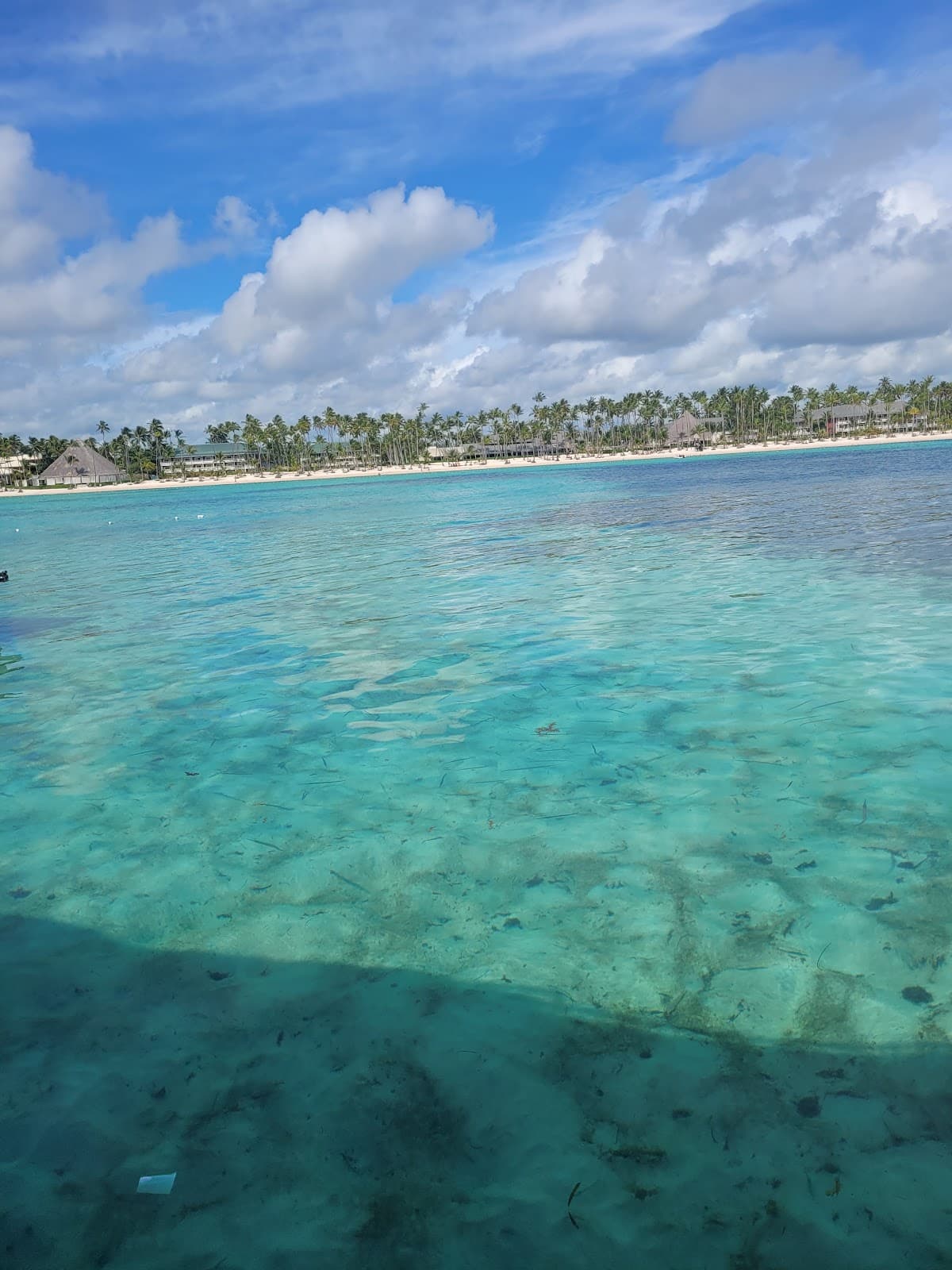 Dolphin Island Park