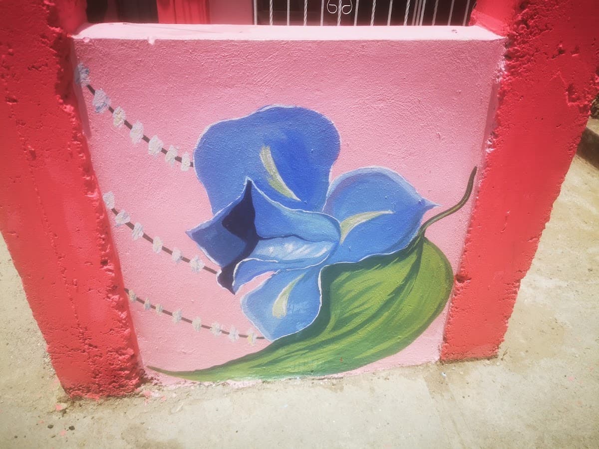 Paseo de Los Colores Las Toronjas