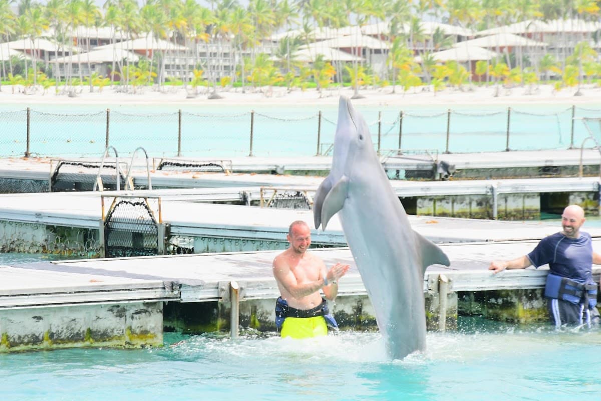 Dolphin Island Park