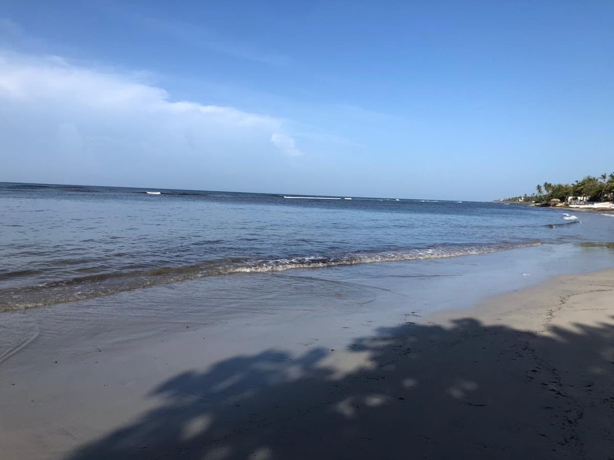 Playa nono