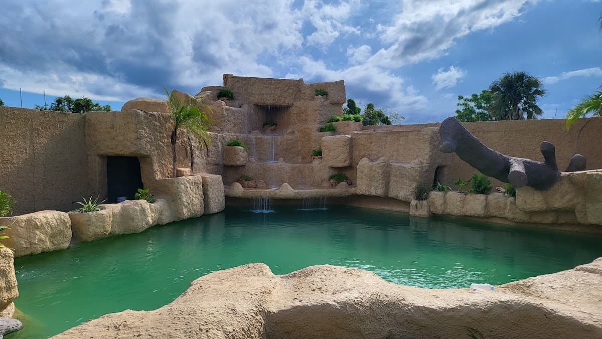 Evolution Adventure Park