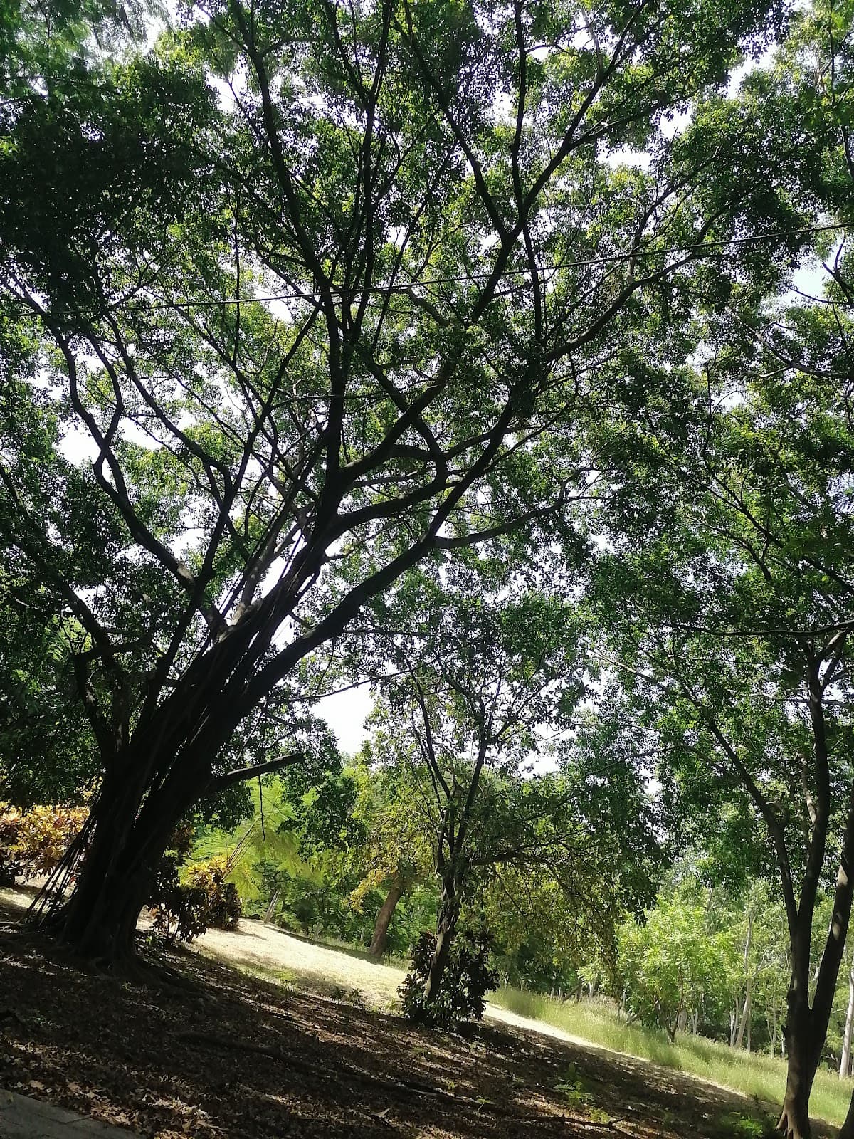 Parque Mirador del Este