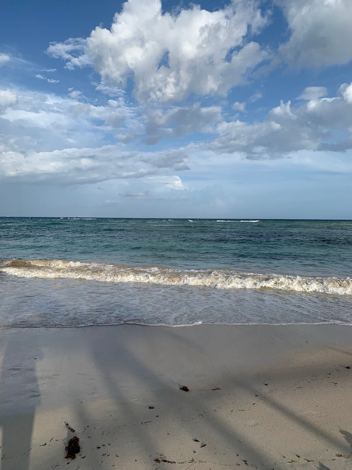 Playa Guayacanes