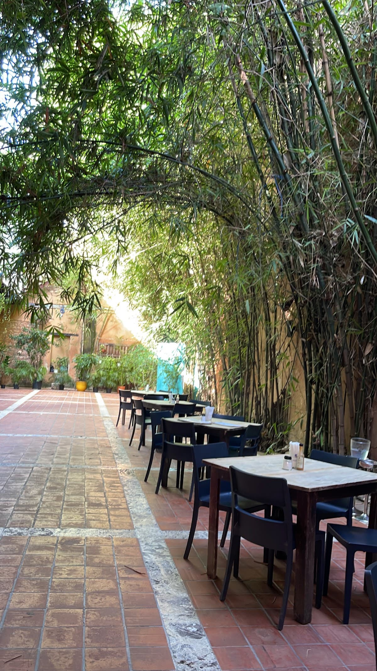 Mesón De Bari — Plaza Lia