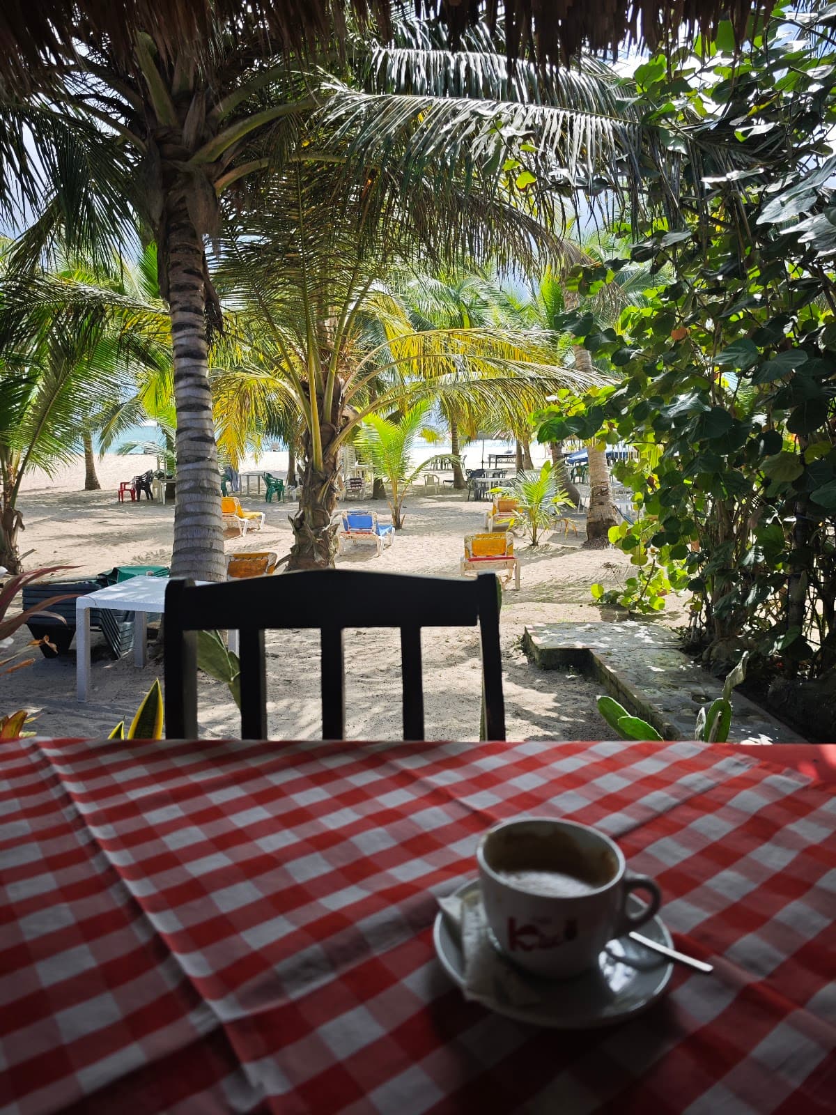 EL RINCON DEL CACIQUE