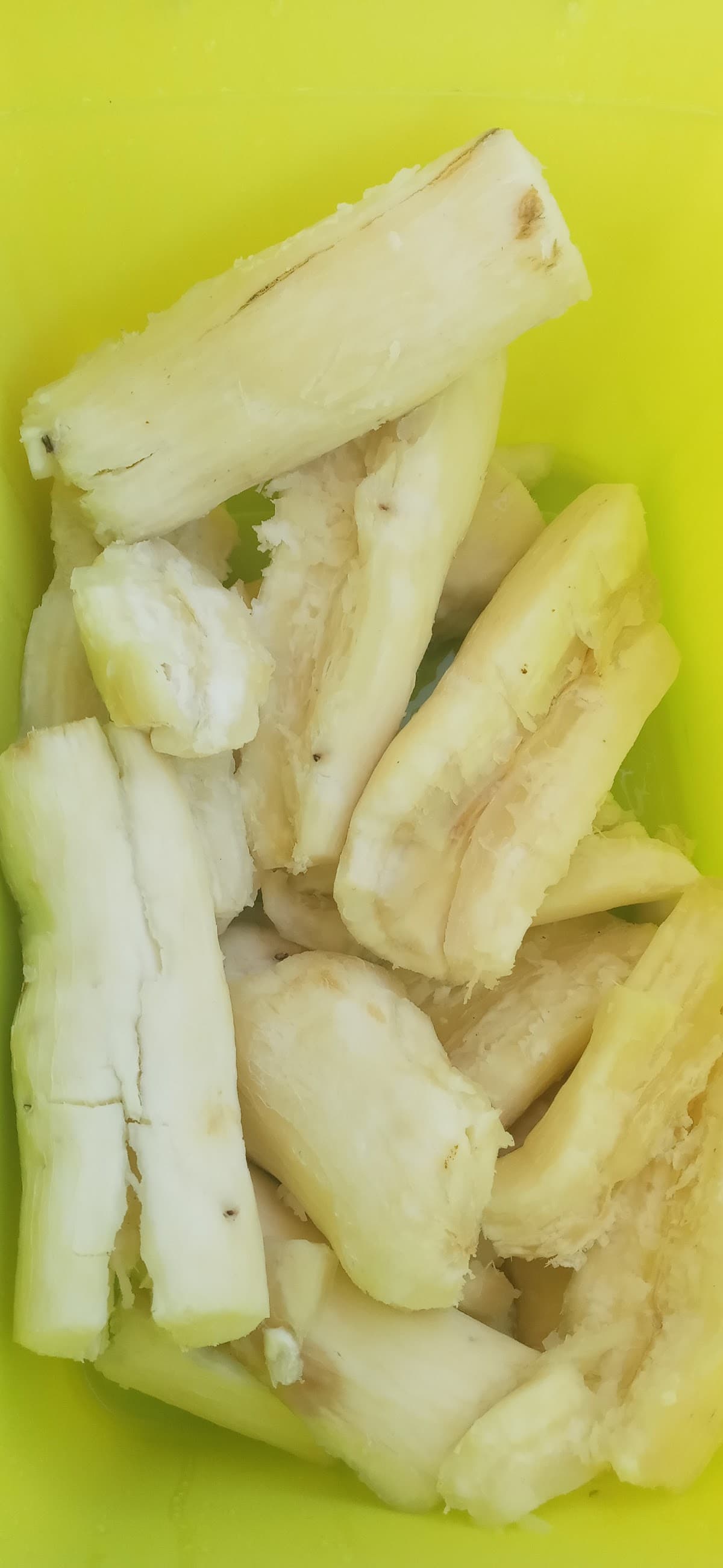 Chicharrones los mejores
